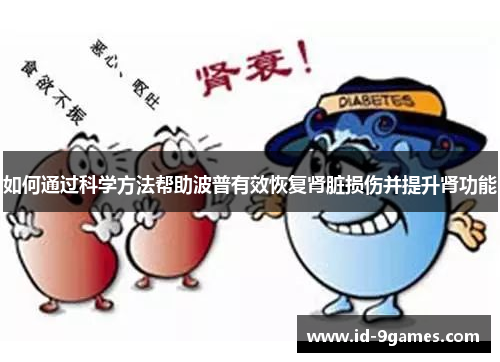 如何通过科学方法帮助波普有效恢复肾脏损伤并提升肾功能