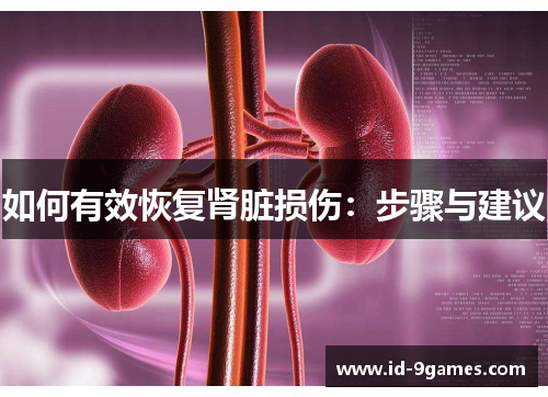 如何有效恢复肾脏损伤：步骤与建议